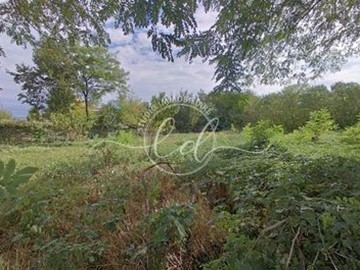 Terreno agricolo in Vendita a Seravezza, zona Azzano, 20'000&euro;, 3500 m²