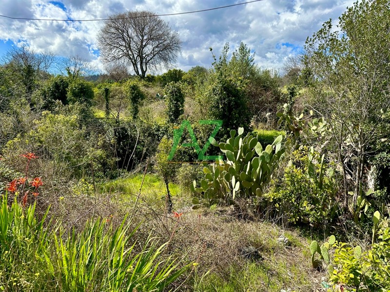 Terreno agricolo in Vendita a Acireale, zona Santa Tecla, 49'000€, 3200 m²