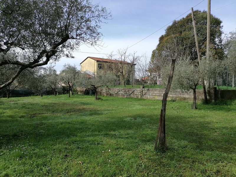 Terreno edificabile in Vendita a Carrara, 125'000€, 1200 m²