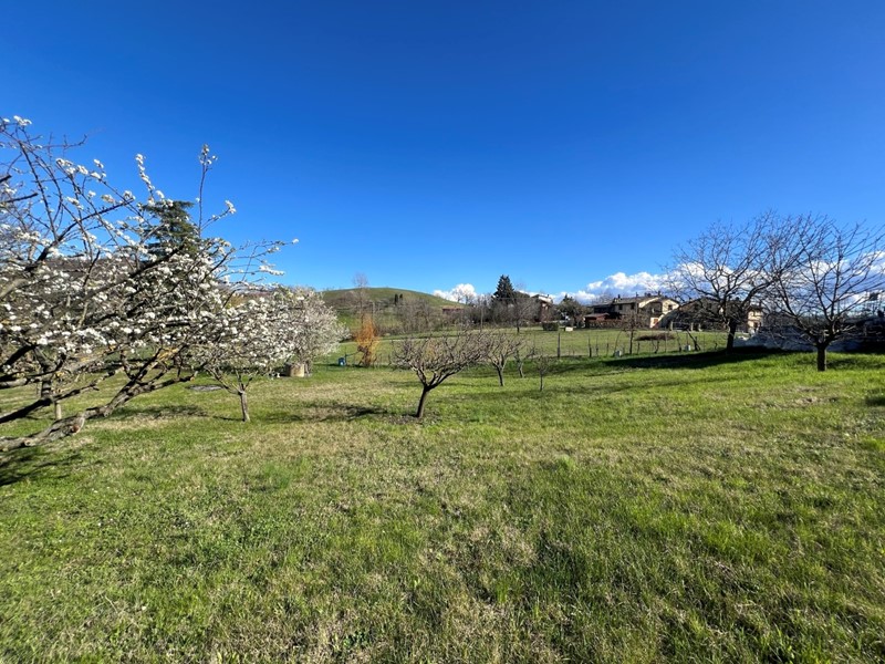 Terreno agricolo in Vendita a Valsamoggia, zona Tiola, 49'000€, 1000 m²