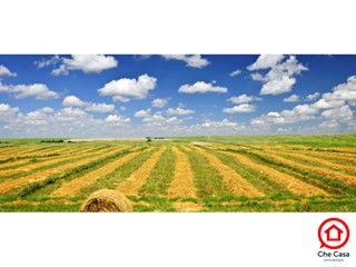 Terreno agricolo in Vendita a Ravenna, zona San Pietro in Campiano, 850'000€, 170000 m²