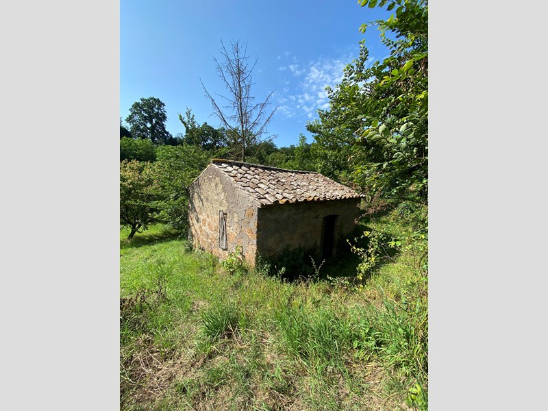 Terreno agricolo in Vendita a Viterbo, zona Grotte Santo Stefano, 15'000€