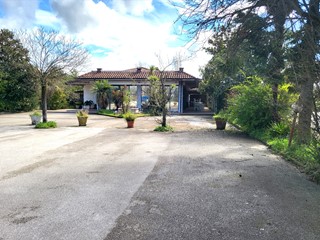 Immobile commerciale in Vendita a Ferentino, 260'000€, 340 m²