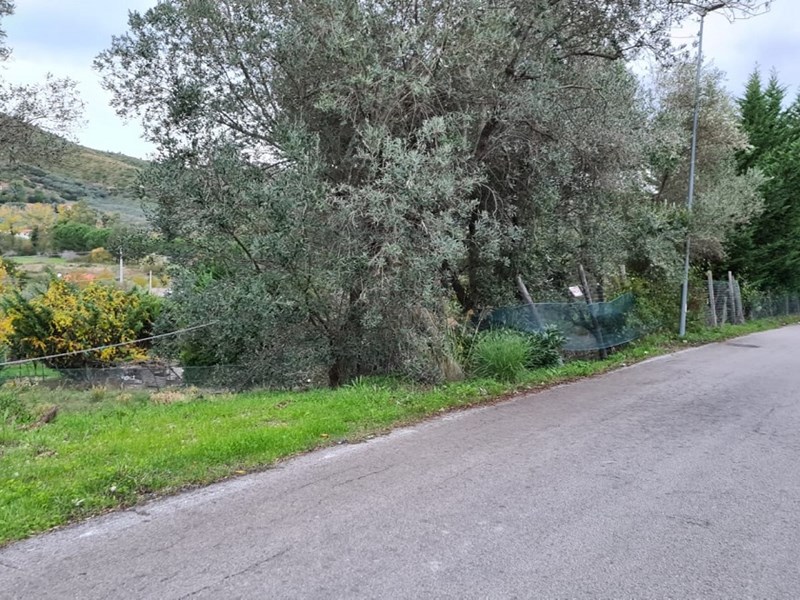 Terreno agricolo in Vendita a Montecorice, zona Case Del Conte, 35'000€, 3000 m²