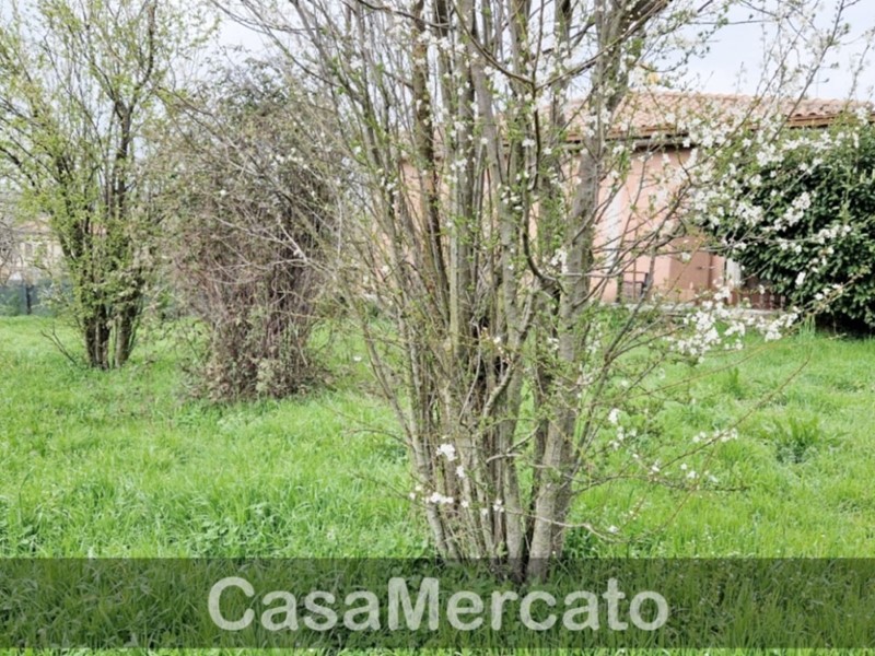 Terreno agricolo in Vendita a Rocca di Papa, zona Barozze + Calcare, 27'000€, 1000 m²