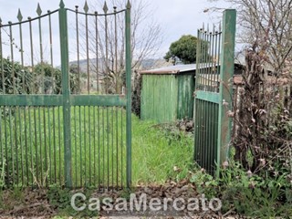 Terreno agricolo in Vendita a Rocca di Papa, zona Barozze + Calcare, 27'000€, 1000 m²