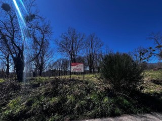 Terreno edificabile in Vendita a Mangone, 500'000€, 10000 m²