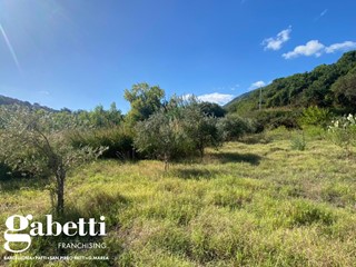 Terreno agricolo in Vendita a Gioiosa Marea, 50'000€, 5000 m²