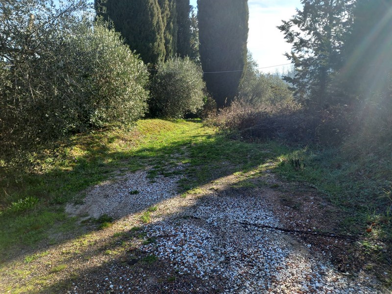 Terreno agricolo in Vendita a Crespina Lorenzana, zona Tripalle, 35'000€, 20000 m²