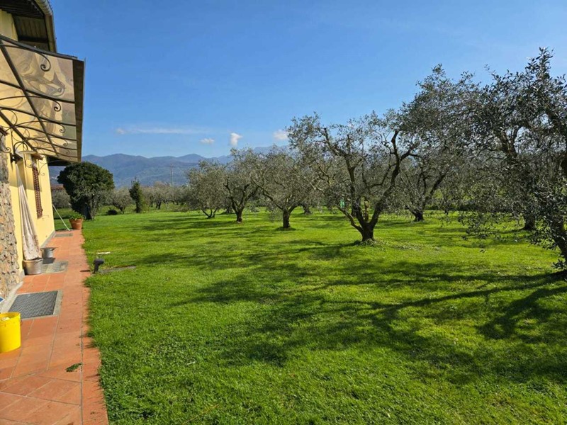 Casa Indipendente in Vendita a Ameglia, 2'400'000&euro;, 300 m², arredato