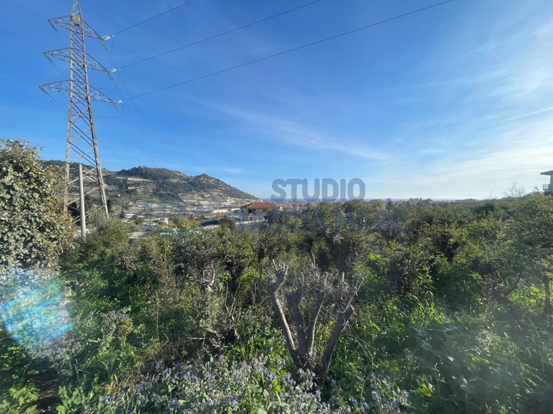 Terreno agricolo in Vendita a Taggia, zona Arma Di Taggia, 55'000€, 