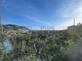 Terreno agricolo in Vendita a Taggia, zona Arma Di Taggia, 55'000€, 