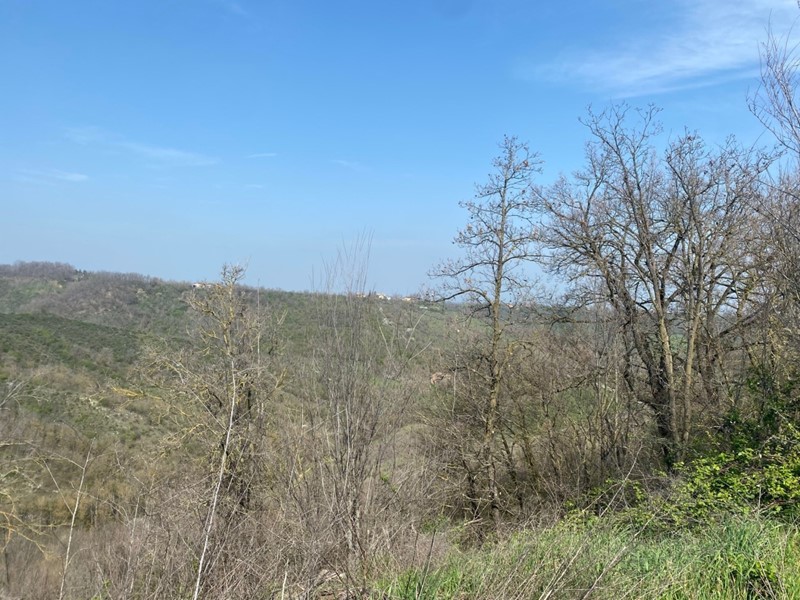 Terreno agricolo in Vendita a Medesano, 90'000&euro;, 120000 m²