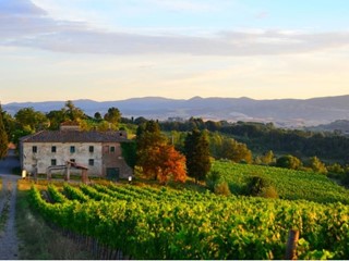 Terreno agricolo in Vendita a Peccioli, 87'000€, 51351 m²