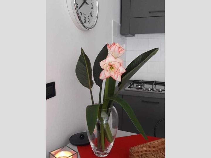 Bilocale in Affitto a Lavagna, zona Cavi, 50 m², arredato