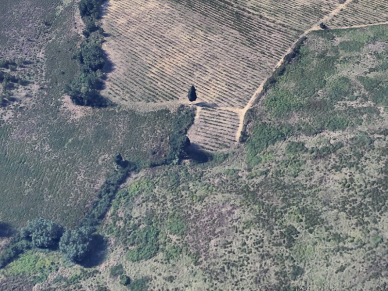 Terreno agricolo in Vendita a Poggibonsi, 300'000€, 300000 m²