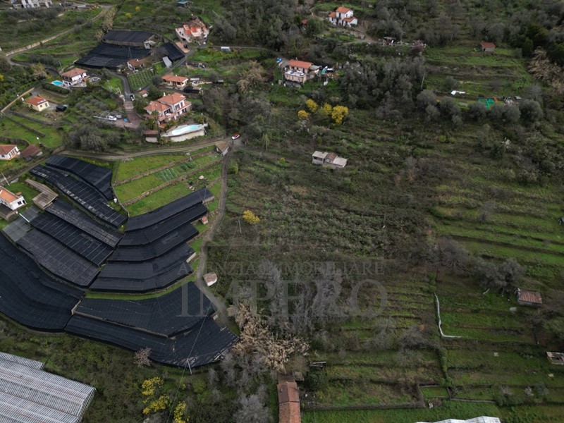 Terreno agricolo in Vendita a Vallecrosia, zona Piani Di Vallecrosia, 190'000€, 10650 m²