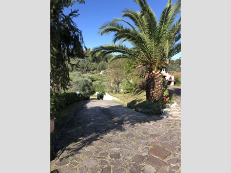 Casa Indipendente in Vendita a Bolano, zona Ceparana, 460'000&euro;, 