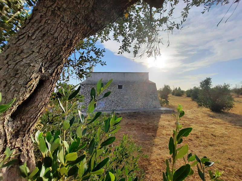 Villa in Vendita a Carpignano Salentino, 240'000€, 35000 m²