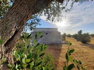 Villa in Vendita a Carpignano Salentino, 240'000€, 35000 m²