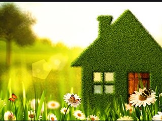 Terreno agricolo in Vendita a Pettorazza Grimani, 560 m²