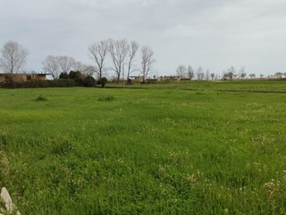 Terreno industriale in Vendita a Martinsicuro, 293'000€, 3880 m²