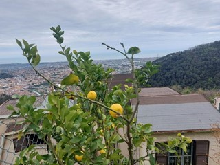 Casa Indipendente in Vendita a Massa, zona Bergiola, 150'000€, 140 m², arredato