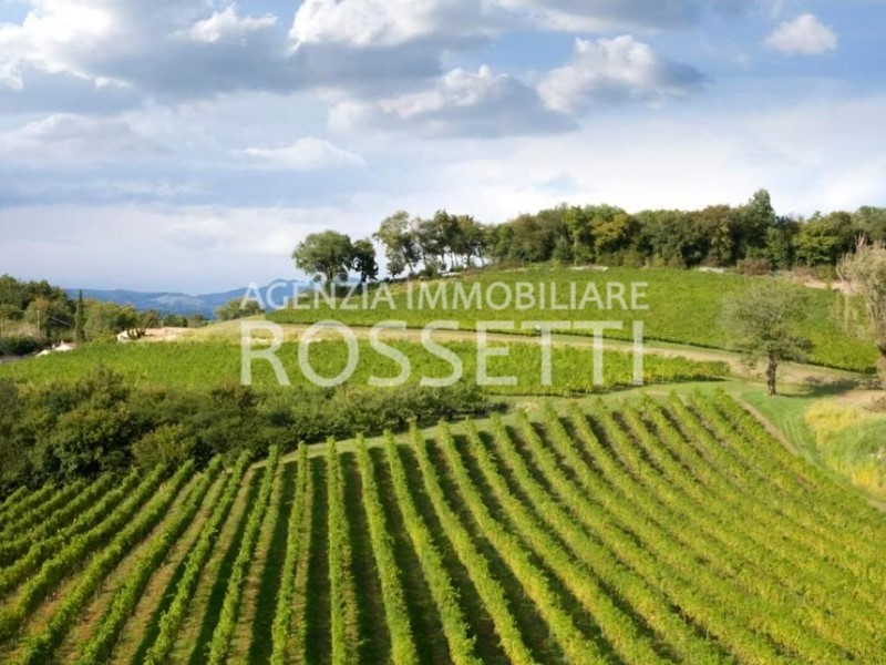 Terreno agricolo in Vendita a Cerreto Guidi, 300'000€, 92000 m²