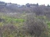 Terreno edificabile in Vendita a Morlupo, 65'000€, 2483 m²