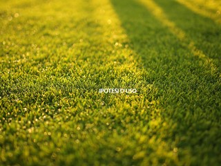 Terreno agricolo in Vendita a Chioggia, 110'000€, 6000 m²