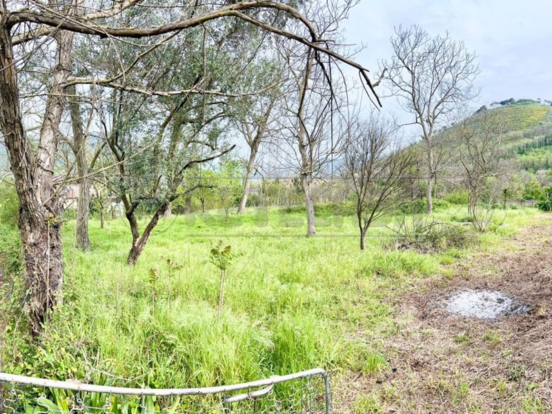 Terreno agricolo in Vendita a Castel San Giorgio, 18'000€, 1100 m²
