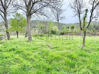 Terreno agricolo in Vendita a Castel San Giorgio, 18'000€, 1100 m²