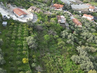 Terreno agricolo in Vendita a San Biagio della Cima, 45'000€, 3000 m²