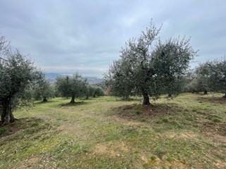 Terreno agricolo in Vendita a Magione, zona Sant'Arcangelo, 30'000€, 8000 m²
