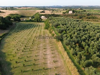 Terreno agricolo in Vendita a Canino, 250'000€, 110000 m²