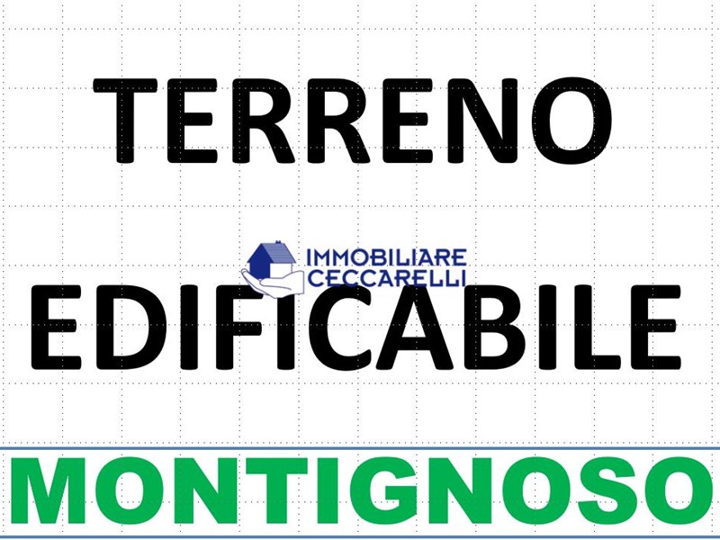 Terreno edificabile in Vendita a Montignoso, 300'000€, 2000 m²