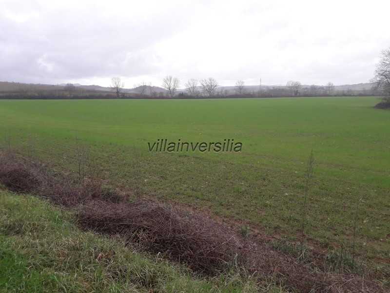 Terreno agricolo in Vendita a Monteriggioni, 1'500'000€, 1100000 m²