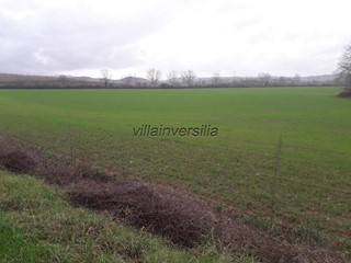 Terreno agricolo in Vendita a Monteriggioni, 1'500'000€, 1100000 m²