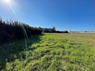 Terreno agricolo in Vendita a Terracina, 30'000€, 2310 m²