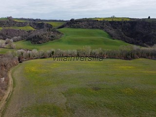 Terreno agricolo in Vendita a Asciano, 530'000€, 630000 m²
