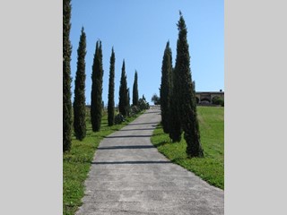 Villa in Vendita a Manciano, 980'000€, 250 m², arredato, con Box