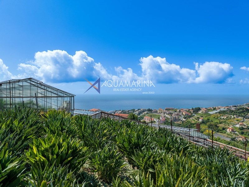 Terreno edificabile in Vendita a Sanremo, 180'000€, 3000 m²