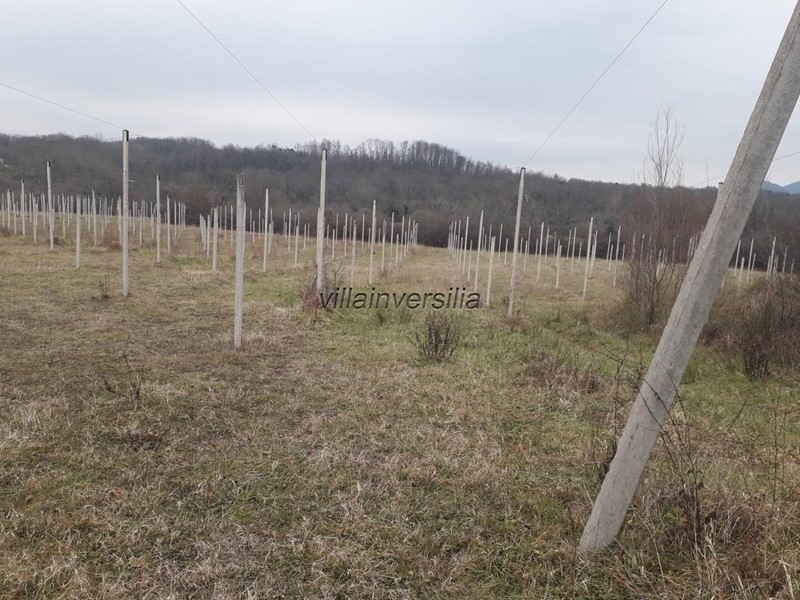 Terreno agricolo in Vendita a Villafranca in Lunigiana, 250'000€, 70000 m²