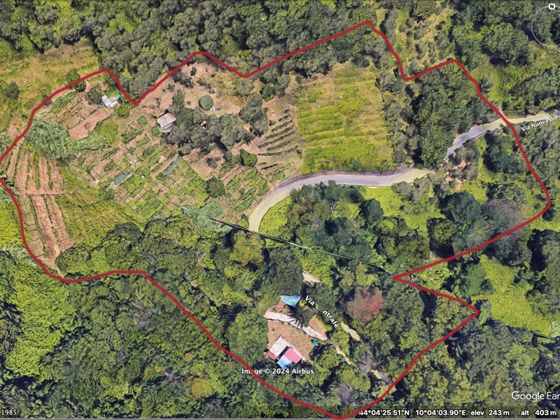 Terreno agricolo in Vendita a Carrara, zona Fontia, 115'000€, 14602 m²