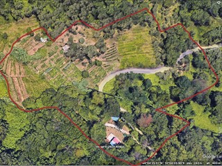 Terreno agricolo in Vendita a Carrara, zona Fontia, 115'000€, 14602 m²