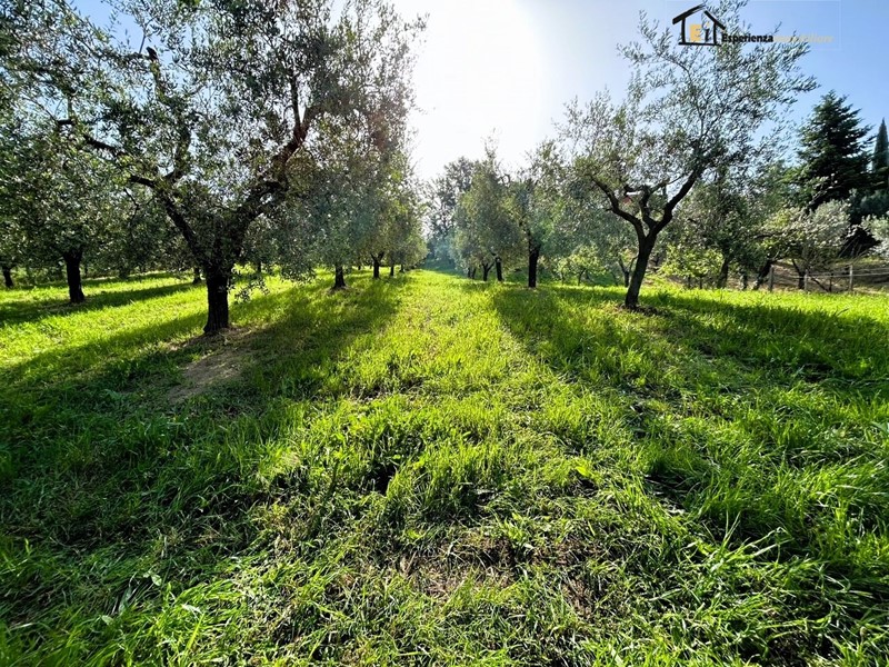 Terreno edificabile in Vendita a Poggio Mirteto, 13'500€, 3500 m²