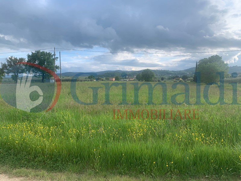 Terreno edificabile in Vendita a Cannara, 135'000€, 6500 m²