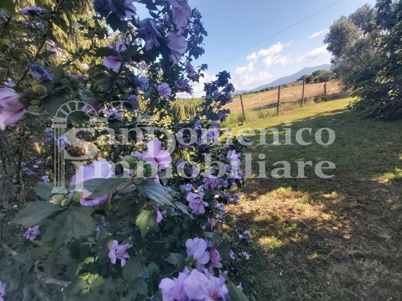 Casa Indipendente in Vendita a Pisa, zona Ospedaletto, 190'000€, 140 m², con Box