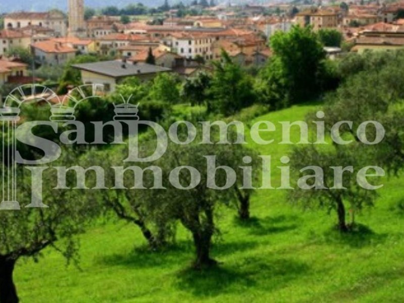 Terreno agricolo in Vendita a Capannori, 10'000€, 2200 m²