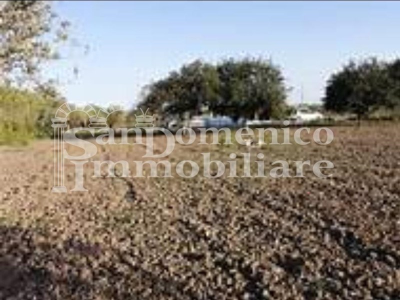 Terreno agricolo in Vendita a Pisa, zona Ospedaletto, 25'000€, 1310 m²